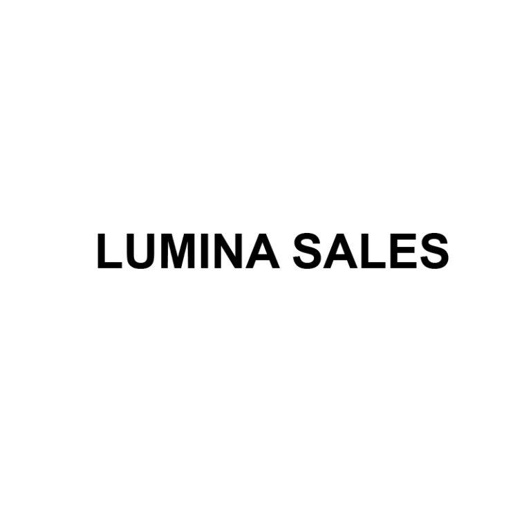 Official Logo for Lumina Sales Inc